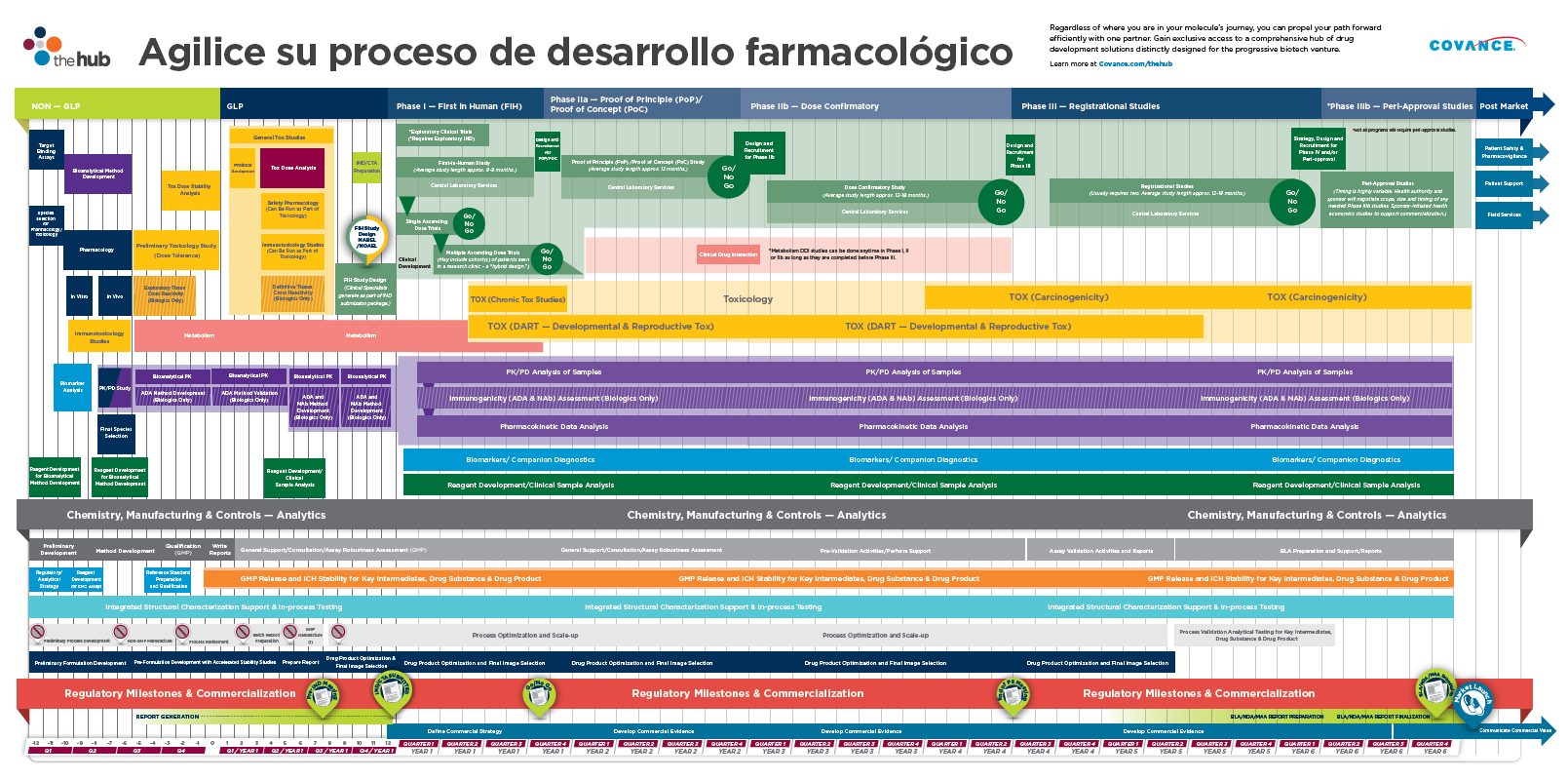 Cronograma del proceso de desarrollo farmacológico