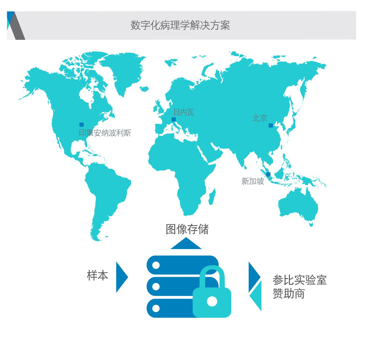 科文斯数字化病理学解决方案