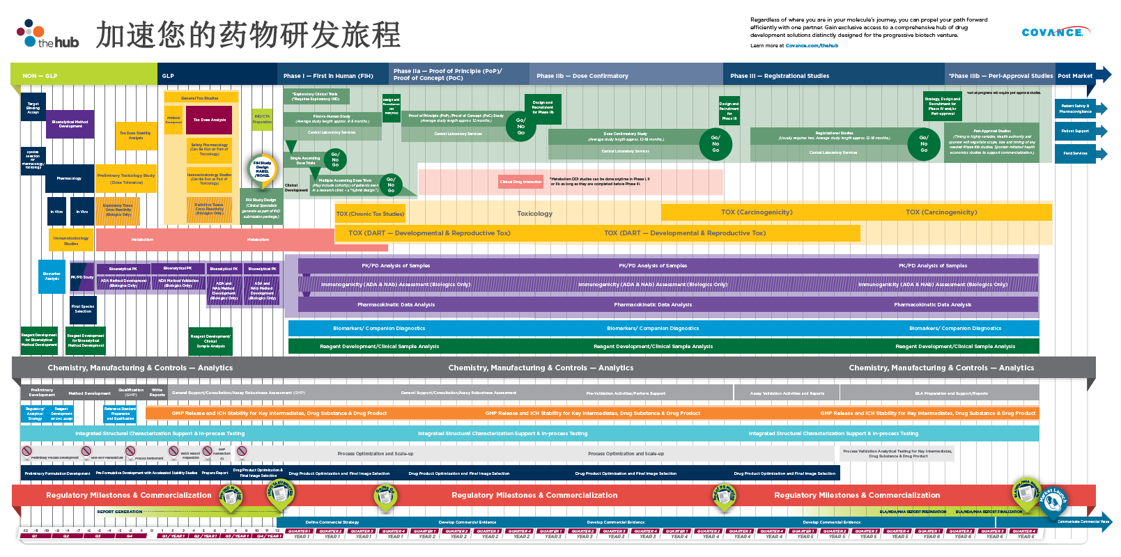 药物研发过程时间表