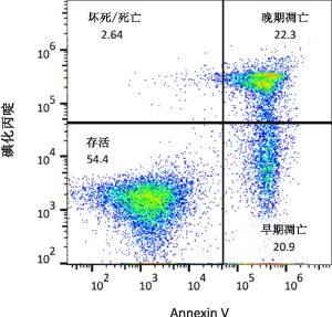 档案