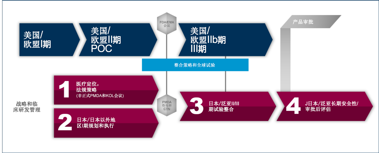 设计开发项目 - 科文斯